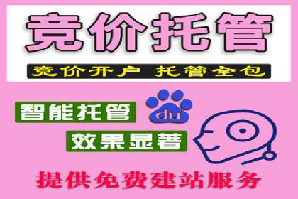 百度竞价推广案例：品牌崛起之路